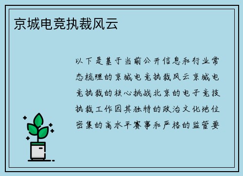 京城电竞执裁风云